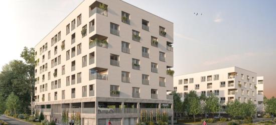 EKLESIA - LE DOMAINE DE GENESTE