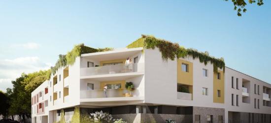 Blanc Coton - Castelnau-Le-Lez