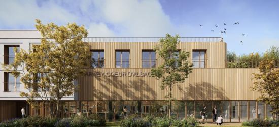 Harvey Coeur d Alsace