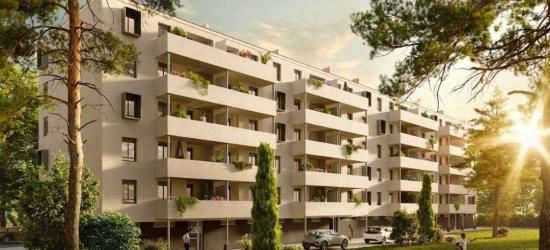 Les Albères lots loués