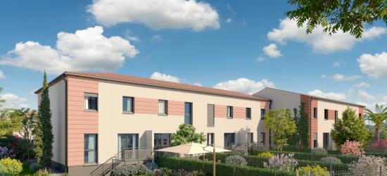 AMO (COOP) - PSLA - VILLA MOLINS