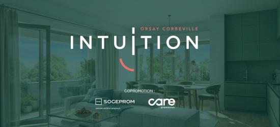 Intuition